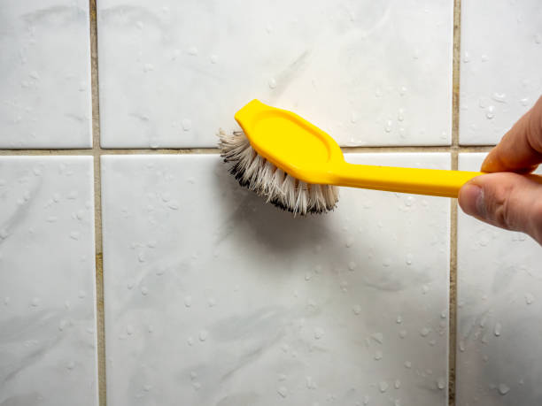 Best Attic Mold Removal  in Dwight, IL