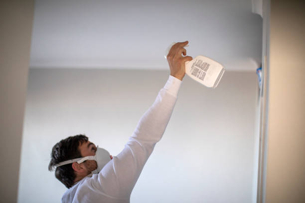 Best Crawl Space Mold Removal  in Dwight, IL
