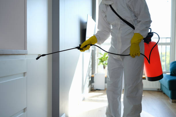 Best Certified Mold Removal  in Dwight, IL