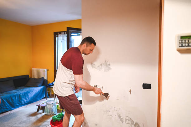 Best Water Damage Restoration  in Dwight, IL